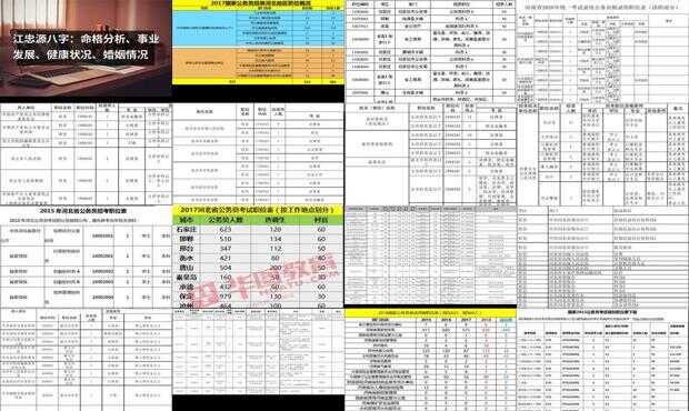 公务员报考职位表下载指南及策略全解析