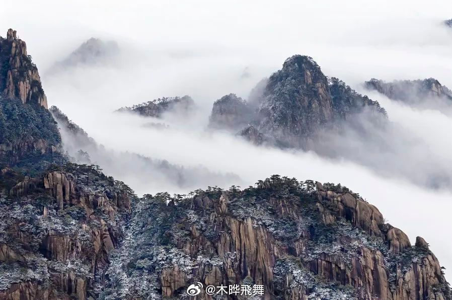 黄山金色雪景惊艳，雪落松间绘就金色画卷