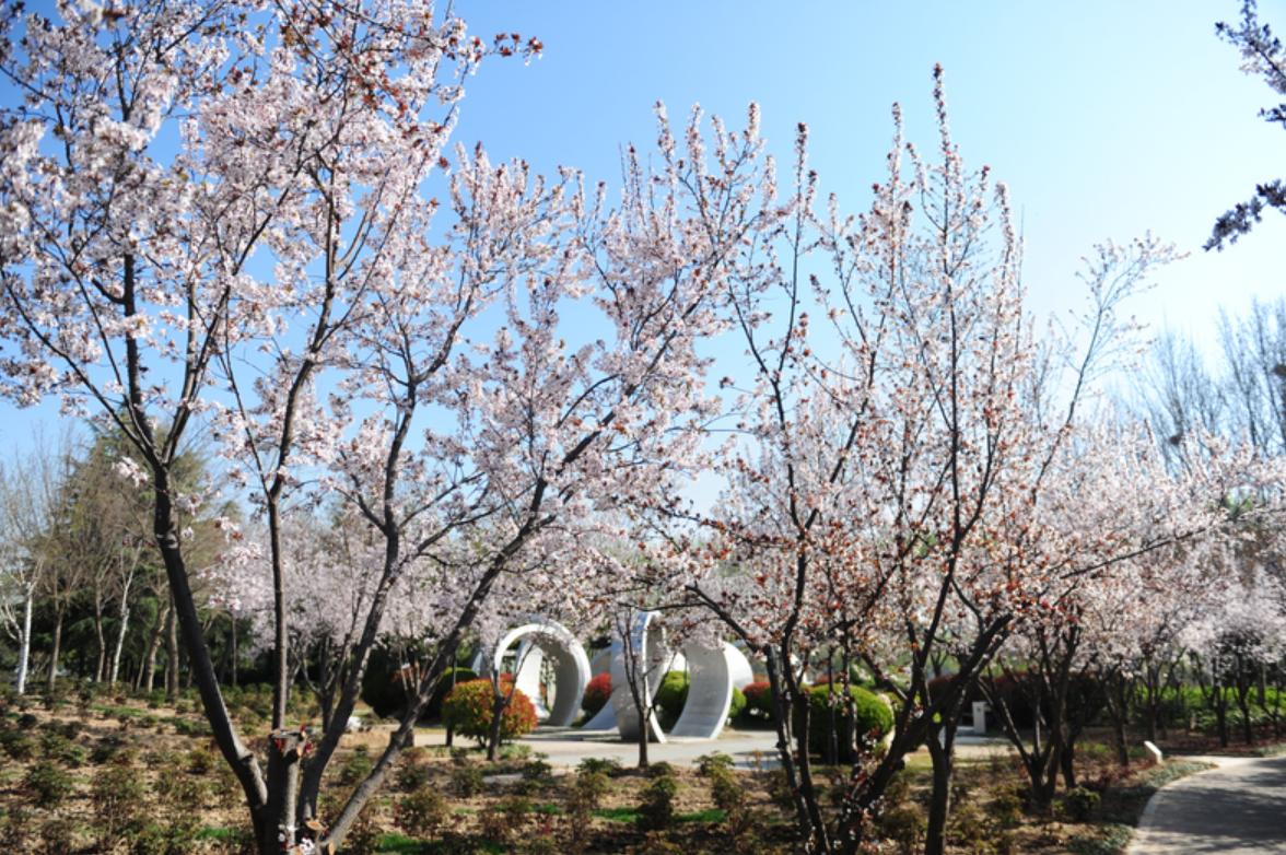 公园拍节目拒绝持票游客入园