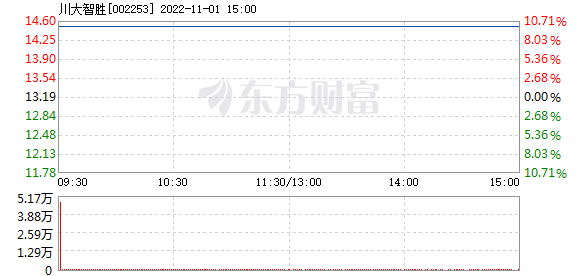 川大智胜股票深度探索与洞察