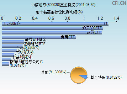 2024年12月11日 第31页