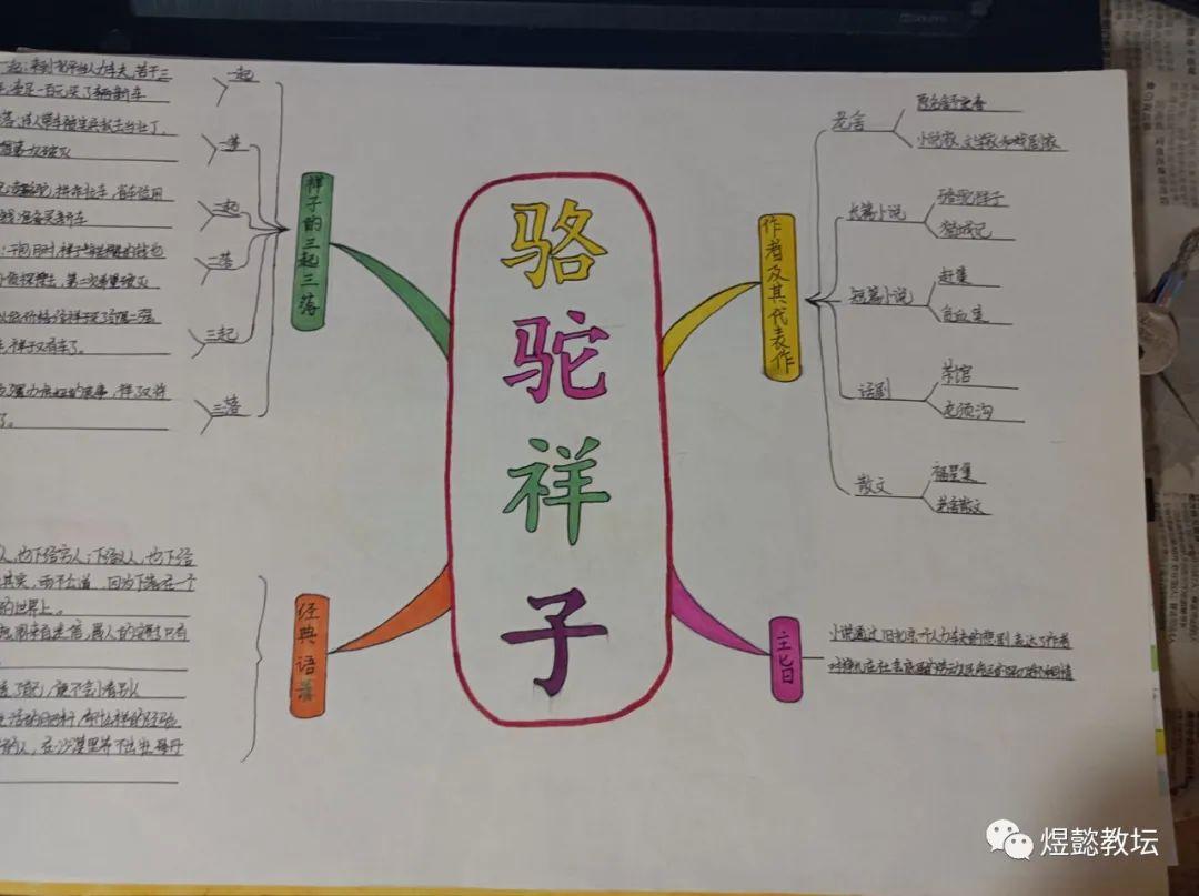 骆驼祥子思维导图，简洁美观的思维导图设计