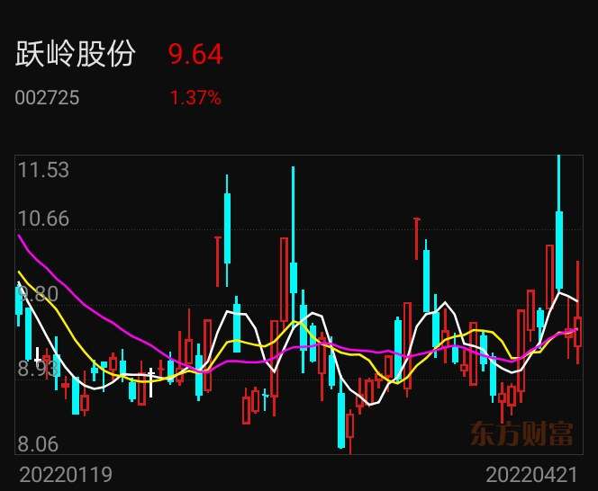 跃岭股份，全球500强的卓越发展之路