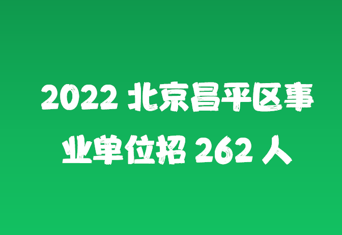 2024年12月17日 第12页