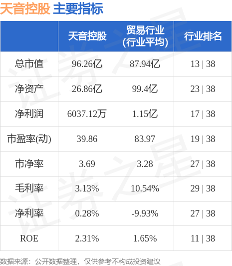 天音控股股票背后的力量与价值探索