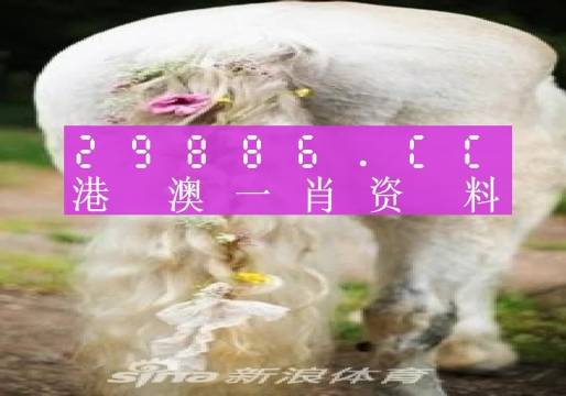 新闻动态 第12页