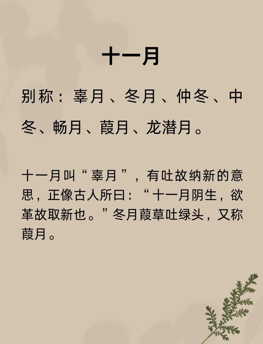 冬月，农历独特月份的魅力