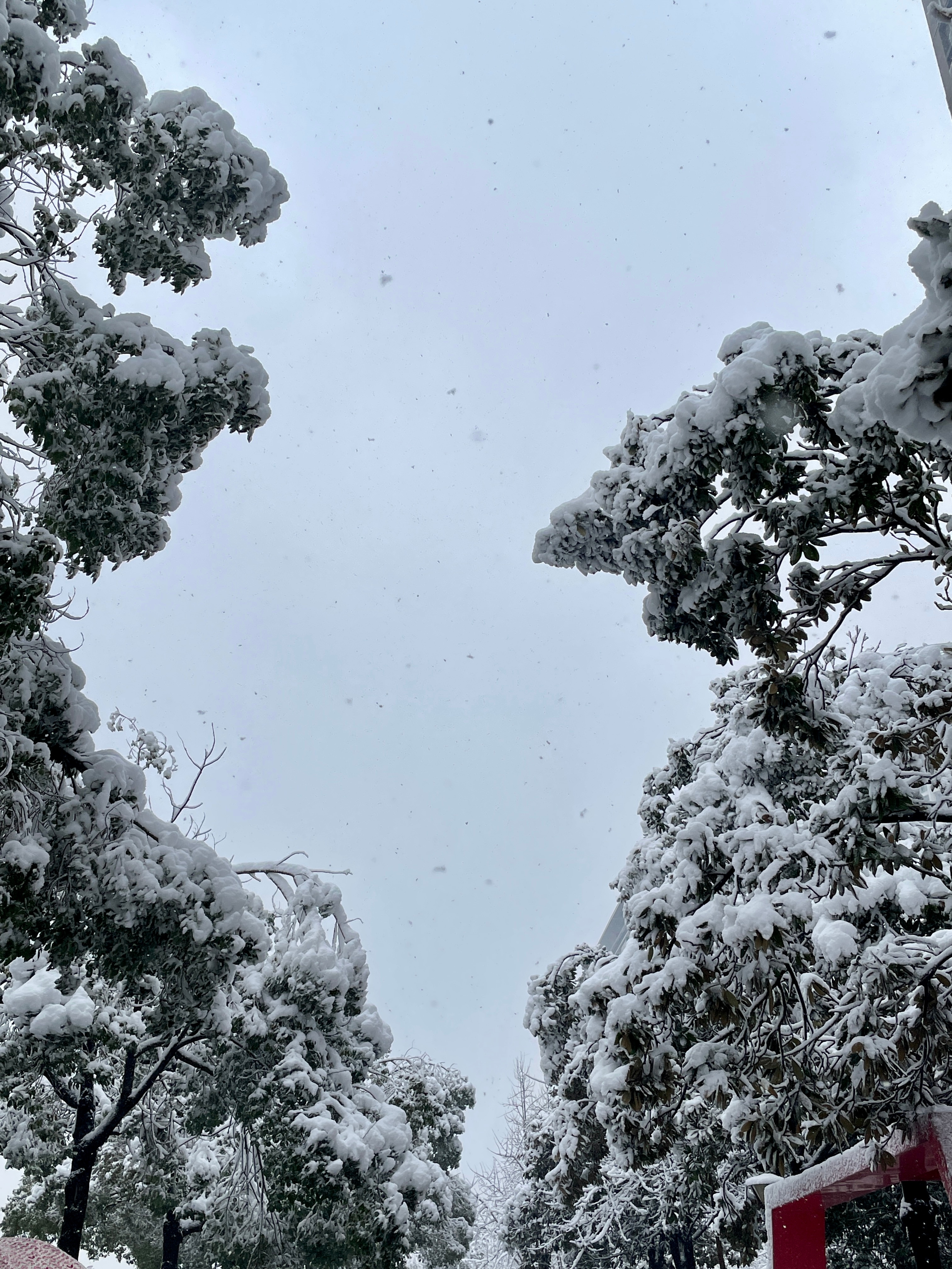 长沙下雪