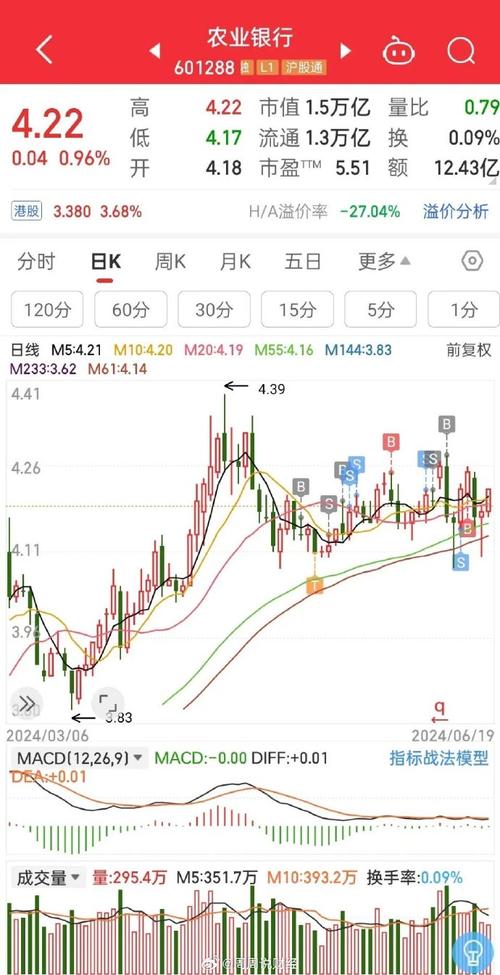 2024年12月23日 第8页