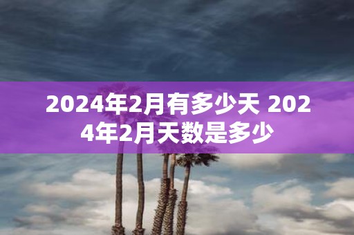 2024年12月23日 第3页