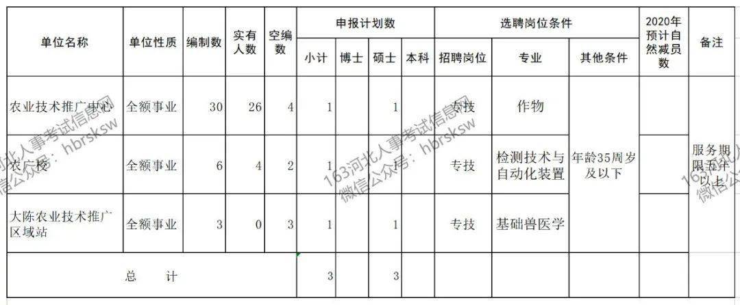 乡镇事业单位定向招聘，解析与策略探讨