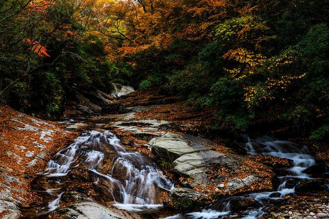 普陀山天气，揭秘神秘海岛的气候魅力